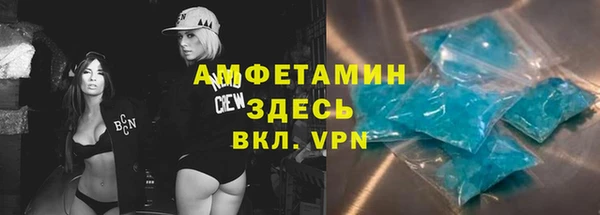 дурь Краснослободск