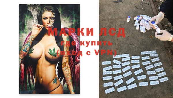 дурь Краснослободск