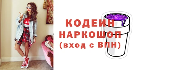 гашик Козельск