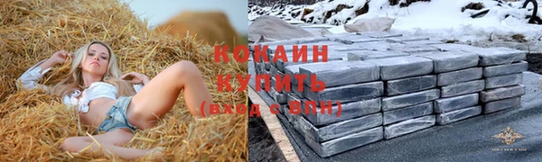 дурь Краснослободск