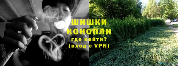 дурь Краснослободск