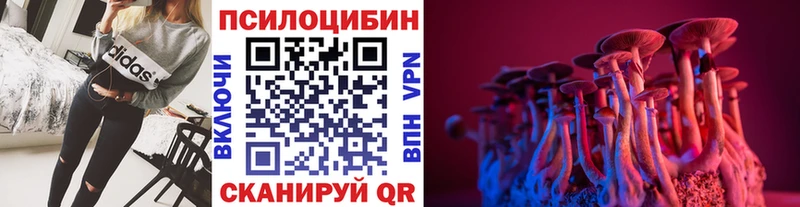 Псилоцибиновые грибы GOLDEN TEACHER  Гдов 